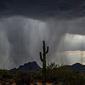 Arizona Monsoon over Red Mountain